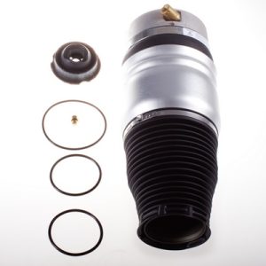 Arc pneumatic directie DENCKERMANN DSA113G – VW | AutoRival