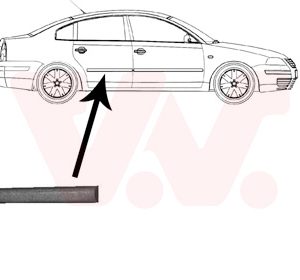 Elemente decorative / protectie portiera VAN WEZEL 5836426 – VW | AutoRival