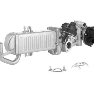 Modul EGR BORGWARNER 710861D/1 – VW | AutoRival