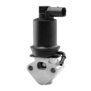 Supapa EGR BORGWARNER 710953R – VW | AutoRival