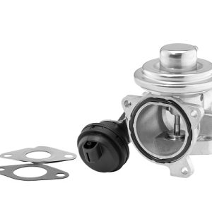 Supapa EGR BORGWARNER 7241D – VW | AutoRival