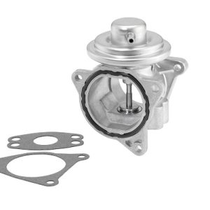 Supapa EGR BORGWARNER 7496D – VW | AutoRival