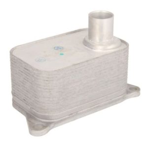 Radiator ulei motor THERMOTEC D4A006TT – VW | AutoRival