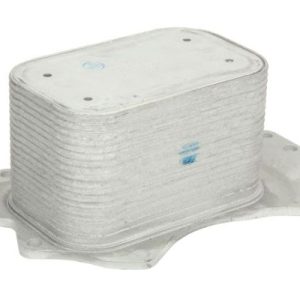 Radiator ulei motor THERMOTEC D4W018TT – VW | AutoRival