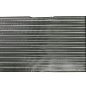 Radiator racire motor THERMOTEC D7S007TT – VW | AutoRival