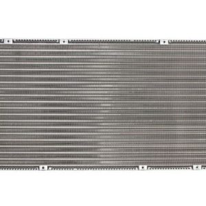 Radiator racire motor THERMOTEC D7W003TT – VW | AutoRival
