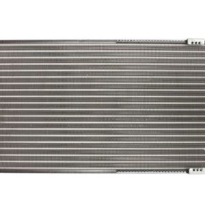 Radiator racire motor THERMOTEC D7W047TT – VW | AutoRival