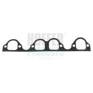 Garnitura galerie admisie HOFFER 016162 – VW | AutoRival