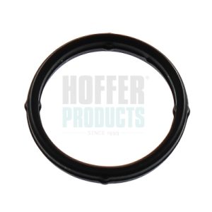 Garnitura galerie admisie HOFFER 016249 – VW | AutoRival