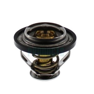 Termostat lichid racire HOFFER 8192825 – VW | AutoRival