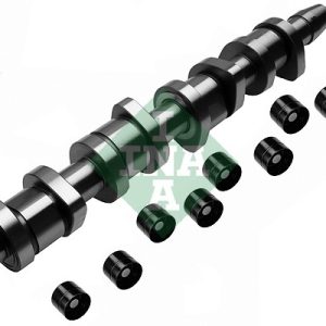 Set ax cu came INA 428 0039 30 – VW | AutoRival