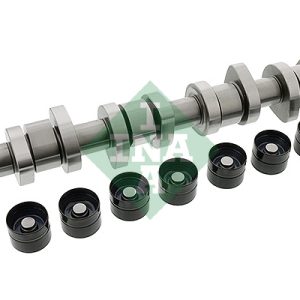 Set ax cu came INA 428 0042 30 – VW | AutoRival