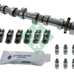 Set ax cu came INA 428 0050 30 – VW | AutoRival