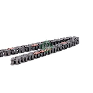 Lant distributie INA 553 0061 10 – VW | AutoRival