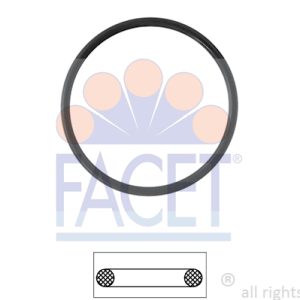 Garnitura termostat FACET 7.9527 – VW | AutoRival