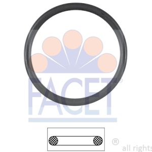 Garnitura termostat FACET 7.9538 – VW | AutoRival