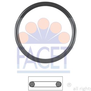 Garnitura termostat FACET 7.9590 – VW | AutoRival
