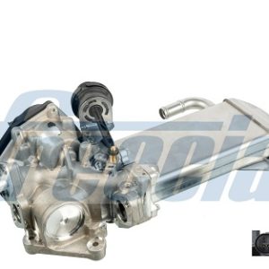 Supapa EGR FRECCIA EGR12-179 – VW | AutoRival