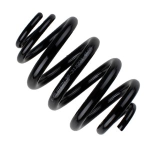 Arc spiral BILSTEIN 38-312731 – VW | AutoRival