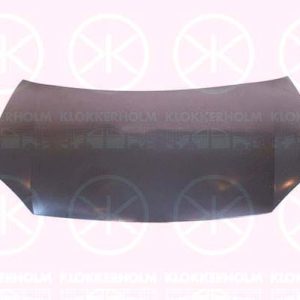 Capota motor KLOKKERHOLM 9524280 – VW | AutoRival
