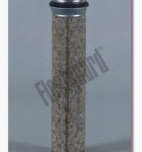 Filtru aer secundar FLEETGUARD AF4521 – VW | AutoRival