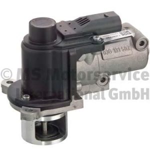 Supapa EGR PIERBURG 7.00907.03.0 – VW | AutoRival