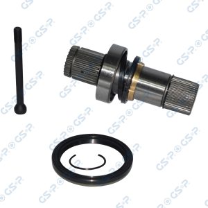 Arbore diferential GSP 261191 – VW | AutoRival