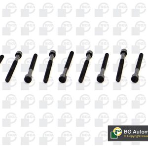 Set surub chiulasa BGA BK0105