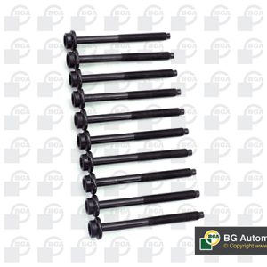 Set surub chiulasa BGA BK2394