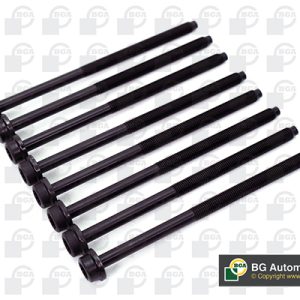 Set surub chiulasa BGA BK3365