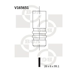Supapa evacuare BGA V165651