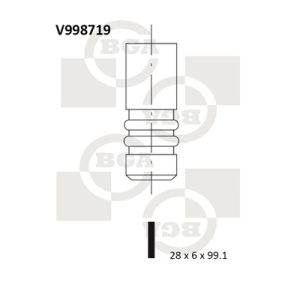 Supapa evacuare BGA V998719