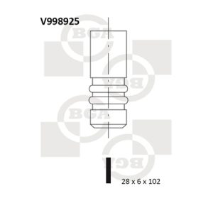 Supapa evacuare BGA V998925