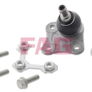 Pivot FAG 825 0173 10 – VW | AutoRival