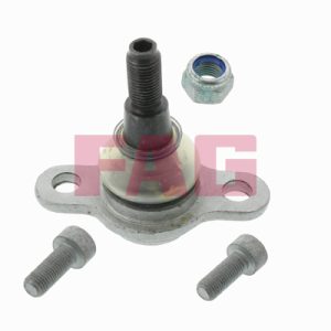 Pivot FAG 825 0266 10 – VW | AutoRival