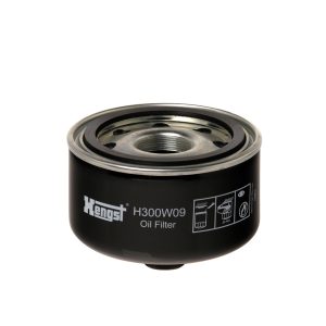 Filtru ulei HENGST FILTER H300W09 – VW | AutoRival
