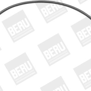 Set cablaj aprindere BERU ZEF1255 – VW | AutoRival