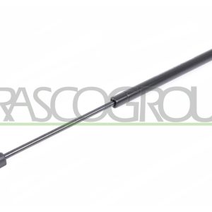 Amortizor portbagaj PRASCO VG0169055 – VW | AutoRival