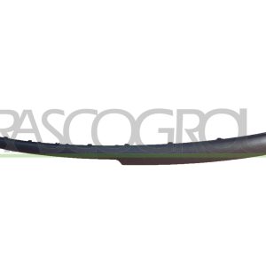 Banda de protectie bara de protectie PRASCO VG0211255 – VW | AutoRival