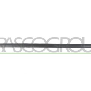 Elemente decorative / protectie portiera PRASCO VG0211403 – VW | AutoRival