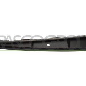 Banda de protectie bara de protectie PRASCO VG0251244 – VW | AutoRival