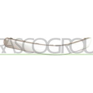 Banda de protectie bara de protectie PRASCO VG0341263 – VW | AutoRival