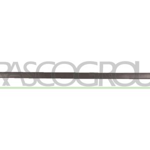 Elemente decorative / protectie portiera PRASCO VG0341404 – VW | AutoRival