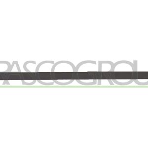 Elemente decorative / protectie portiera PRASCO VG0341454 – VW | AutoRival