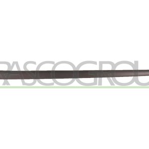 Elemente decorative / protectie portiera PRASCO VG0361404 – VW | AutoRival