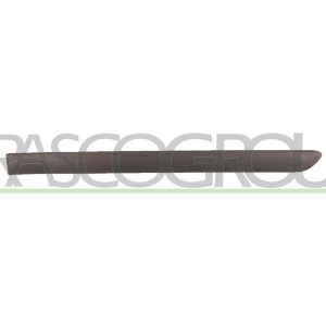 Elemente decorative / protectie portiera PRASCO VG0361454 – VW | AutoRival