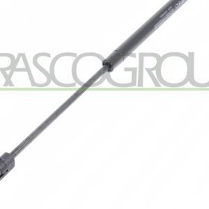 Amortizor portbagaj PRASCO VG0369055 – VW | AutoRival