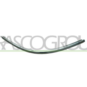 Banda de protectie bara de protectie PRASCO VG0531247 – VW | AutoRival
