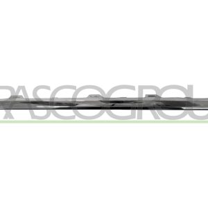Banda de protectie bara de protectie PRASCO VG0541274 – VW | AutoRival