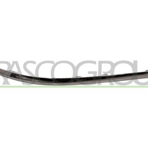Banda de protectie bara de protectie PRASCO VG0551273 – VW | AutoRival
